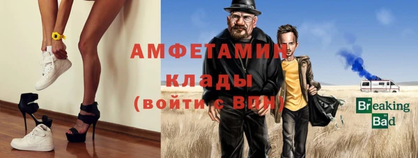 метадон Богданович