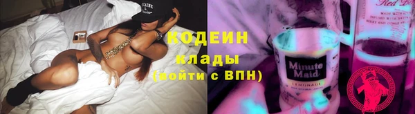метадон Богданович