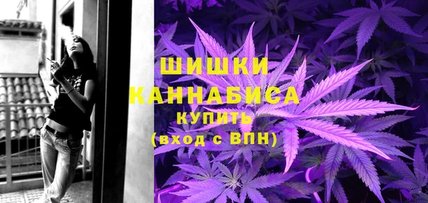 сатива Богородск