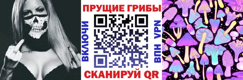 Галлюциногенные грибы прущие грибы  Городовиковск 